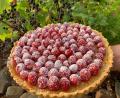 Bild: Michael Schiffer
Die fertige Zitronentarte mit Himbeeren.