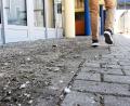 Bild: Gabi Schönberger
Taubenkot vor dem Josefshaus: Schön ist ist das sicher nicht - aber auch gesundheitsgefährdend?