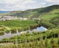Bild: Mona Contzen/dpa
Die malerische Mosel: Blick über den Fluss auf Trittenheim.