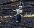 Bild: Hájek Vojtìch/CTK/dpa
Ein Feuerwehrmann im Einsatz bei einem Waldbrand im Nationalpark Böhmische Schweiz.