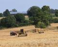 Bild: bö
Es ist schon fast alles abgeerntet, die Strohballen werden gepresst und abtransportiert. Um dieses enorme Arbeitspensum zu schultern, mussten manche Landwirt Spätschichten einlegen.