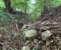 Bild: ck
Der Hohlweg bietet gerade Wildtieren bei den hohen Temperaturen im Sommer ein kühles Rückzugsgebiet. Hier wurden Steine abgekippt.