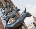 Bild: Christin Klose/dpa
Die Stadtmusikanten sind ein Pflichtstopp für jeden Bremen-Besucher. Von hier aus startet ein neuer Kunstspaziergang, der unbekanntere Seiten der Weserstadt aufzeigt.