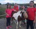 Bild: gz
Das Shetty-Pony "Faromino" ließ die Streicheleinheiten der Kinder gerne über sich ergehen. An dem hinteren Tisch stand dagegen Basteln auf dem Programm.
