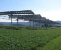 Bild: Fraunhofer ISE/exb
Diese aufgeständerten Photovoltaik-Anlagen stehen über einer landwirtschaftlichen Fläche am Bodensee.