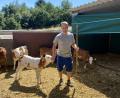 Bild: Nickl/exb
Johannes Nickl aus Trabitz hat die Ausbildung zum Landwirt mit großem Erfolg absolviert.