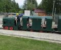 Archivbild: sck
Die Auerbacher Grubenbahn steht wegen Umbauarbeiten im Bergbaumuseum Maffeischächte derzeit still. Für die Sterbekasse des Bergknappenvereins ist der Zug dagegen ganz abgefahren.