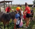 Bild: gz
Anziehend auf die Kinder wirkten vor allem die Ponys.