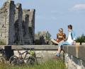 Bild: Frank Boxler/Nürnberger Land Tourismus/dpa
Der neue Sinnesradweg im Nürnberger Land führt auch an der Festung Rothenberg vorbei.
