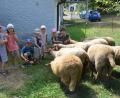 Bild: ak
Magda Wolf stellte den Mädchen und Buben die Tiere auf dem Selbstversorgerhof vor.