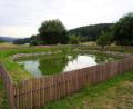 Bild: fvo
Der Löschweiher in Oberbernrieth führt – wie viele andere Gewässer im Moment – weniger Wasser als sonst. Unbrauchbar ist er für die Feuerwehr damit noch nicht – doch ganze ohne Weiher wie diesen stünden die Wehren vor Problemen.