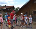 Bild: gi
Star der Ferienprogramm-Aktion im Arche-Noah-Hof ist Eselin Petra. Sie bekommt viele Streicheleinheiten von den Kindern und lässt sich alles gefallen.
