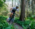 Symbolbild: Philipp von Ditfurth/dpa
Immer beliebter wird eine Tour mit dem Mountainbike durch den Wald bei Sportlern verschiedenster Altersgruppen. Auf den Trend will auch die Region rund um die Silberhütte aufspringen. Eine Machbarkeitsstudie zeigt nun auf, wo und wie Mountainbike-Strecken realisiert werden könnten.