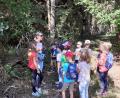 Bild: Kinderschutzbund Tirschenreuth/exb
Die Kinder machte sich auf zur Pflanzenschnitzeljagd im Wald.