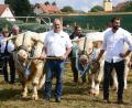 Bild: bey
Für die vielen Besucher der Landestierschau gibt es aus nächster Nähe prächtige Tiere (im Bild die Rasse Charolais zu bestaunen.