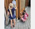 Bild: rpp
In kleinen Gruppen machten sich die Kinder auf die Suche, um den Schatz zu finden. Auf Hinweisschildern war ein Bilderbuch und ein Rätsel versteckt.