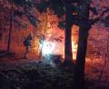 Bild: Feuerwehr Wackersdorf/exb
Weil er sich einer Verkehrskontrolle entziehen wollte, fuhr ein 54-Jähriger der Polizei davon. In einem Waldstück bei Schwandorf verlor er die Kontrolle über sein Auto und krachte gegen einen Baum.