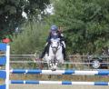 Bild: frd
Pferd und Reiter ist bei den Springprüfungen einiges abverlangt worden.