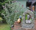 Bild: dob
Die Mariendistel überrascht ihre Besitzer heuer mit reicher Blüte. Fast glaubt man, sie entspringt der Gartenmauerskulptur