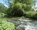 Bild: mma
Ein idyllischer Abschnitt der Vils im Norden von Hahnbach.