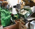 Archivbild: Petra Hartl
In der Hochzeit der Coronapandemie kauften viele Menschen ihr Gemüse und Fleisch aus ökologischem Landbau. Das hat sich jetzt geändert. Wegen Zukunftssorgen sparen viele beim Lebensmittelkauf. Dabei sind die Preise bei biologischen Lebensmitteln anteilig nicht so drastisch gestiegen.