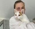 Bild: Matthias Bäumler/fph
Tierpflegerin Eva Kvechova zeigt eine der ausgesetzten Katzen.