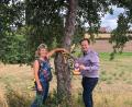 Bild: ak
Barbara Dahinten bringt mit Bürgermeister Christian Porsch die Kennzeichnungsbänder an den Obstbäumen der Gemeinde an.