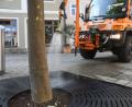 Bild: Gabi Schönberger
Gießen, gießen, gießen: Wie hier am Freitag in Neustadt/WN betreiben die Kommunen einen immensen Aufwand, um die Stadtbäume für dem Verdursten zu retten. Langfristig könnte dies zu immensen Kosten führen.