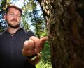 Bild: Karl-Josef Hildenbrand/dpa
Luitpold Titzler, stellvertretender Bereichsleiter Forst am Amt für Ernährung, Landwirtschaft und Forsten Kaufbeuren, zeigt an einer befallenen Fichte, Bohrmehl am Bohrloch eines Borkenkäfers.