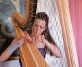 Bild: do
Harfenistin Silke Aichhorn an ihrer Konzertharfe im Musiksaal des Klosters Speinshart.