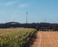 Bild: sfo
Eine Delegation aus Tschechien besuchte kürzlich den Windpark Ellenfeld. Dana Lesak, die Bürgermeisterin der tschechischen Grenzgemeinde Obora, die unmittelbar an der Staatsgrenze bei Bärnau liegt, wäre bei dem Besuch auch gerne dabei gewesen.