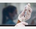 Symbolbild: Marijan Murat/dpa
Ab Dienstag sind zwei neue Impfstoffe gegen das Coronavirus im Impfzentrum Tirschenreuth verfügbar.