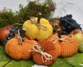Bild: Petra Hartl
Hübsche Herbst-Deko, leicht nachzumachen: Gestrickte Kürbisse.