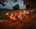 Bild: vsr
Mit viel Bedacht trugen die Ferienkinder ihre Fackeln während der Wanderung nach Thumsenreuth. Bereits unterwegs freuten sie sich auf das Grillen der Würstchen über dem Lagerfeuer.