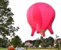 Bild: ubb
Langsam schwebt der Heißluftballon über Maiersreuth hinweg: Das pinkfarbene Kuheuter ist der Hingucker der Woche im Landkreis Tirschenreuth. Bis Freitag kann er noch bestaunt werden. Mitfahrgelegenheiten gibt es aber leider nicht mehr.