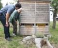 Bild: Gabi Schönberger
Stefan Weig und seine Großmutter Theresia Feneis kümmern sich gern zusammen um ihre Bienenzucht. Im Spätfrühling und Sommer starben in ihren Bienenkästen plötzlich rund 4000 Tiere.