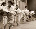 Repro: dob
Seit 50 Jahren wird der Judosport in Vohenstrauß ausgeübt. Seither wurden viele Erfolge erzielt.