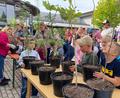 Bild: tat
Die neuen Erstklässler freuen sich in Schnaittenbach über ihre ganz persönlichen Bäumchen.