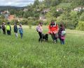 Bild: FW Königstein/exb
Auf einem Spaziergang erfahren die Kinder viel über die Arbeit der Rettungshundestaffel des Roten Kreuzes.