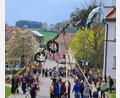 Bild: tok
Maibaumaufstellen in Püchersreuth ist ein Gemeinschaftswerk.