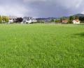 Bild: bkr
Die große grüne Wiese konnte die Gemeinde als Baugrund erwerben. Im Hintergrund sind der Armesberg und der Zinster Steinbruch zu erkennen.