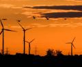 Bild: Julian Stratenschulte/dpa
Vögel fliegen bei Sonnenaufgang vor Windkraftanlagen in der Region Hannover.