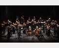 Bild: Stephan Huber
Das Orchester "Akademie für Alte Musik" aus Berlin spielte im Stadttheater Amberg furios auf.