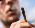 Symbolbild: Christoph Soeder/dpa
Cannabis gilt laut einem Übereinkommen von 1971 als Droge.