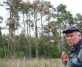 Bild: Hirsch
Rote Flecken im Kiefernwald: In dieser Dramatik hat Forstdirektor Alwin Kleber das Baumsterben noch nicht erlebt.