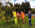 Bild: soj
Theo Schiener zeigten den Bauhofmitarbeitern beim Insektenhotel am Fahrradweg Richtung Brand die Grundbegriffe des richtigen Baumschnitts und die Besonderheiten der Ebnather Obstbäume.