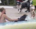 Bild: Hirsch
Oliver Mayer nimmt die Labrador-Hündin "Lola" an die Leine und gewöhnt sie ans Wasser. Das weckt bei anderen Vierbeinern offensichtlich Interesse.