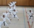 Bild: dob
Josef Pflaum (Vierter von links) und Josef Reichenberger (Fünfter von links) sind eine große Nummer in der Karate-Abteilung des Turnvereins Vohenstrauß. Jetzt haben sie wieder eine höhere Dan-Graduierung erreicht.
