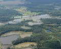 Bild: mür
Landtagsabgeordnete Anna Schwamberger aus Bärnau bringt die Reaktivierung der Bahnstrecke Wiesau/Tirschenreuth ins Gespräch. Die Bahngleise würden durch das Naturschutzgebiet Waldnaabaue (im Bild) verlaufen. Auch für den beliebten Vizinalbahnradweg, der zur Himmelsleiter führt, sollen Alternativen geschaffen werden.