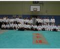 Bild: Gottfried Fröhlich/exb
Die Teilnehmer des Aikido-Lehrgangs in der Turnhalle des Stiftland-Gymnasiums mit der italienischen Aikido-Meisterin Donatella Lagorio (Mitte).